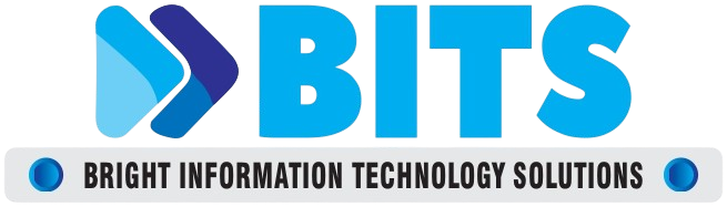 Bits Institute